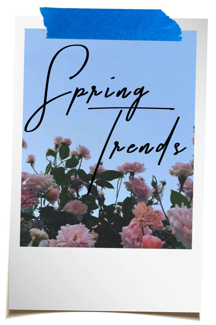 Trend Watch  |  Spring Fashion Must-Have’s